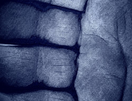 Hand of a Scluptor